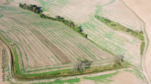 Drohne fliegt über Agrarland mit Heckenstreifen und Baumbestand, Wind- und Erosionsschutz und Förderung der Biodiversität, Luftaufnahme photo