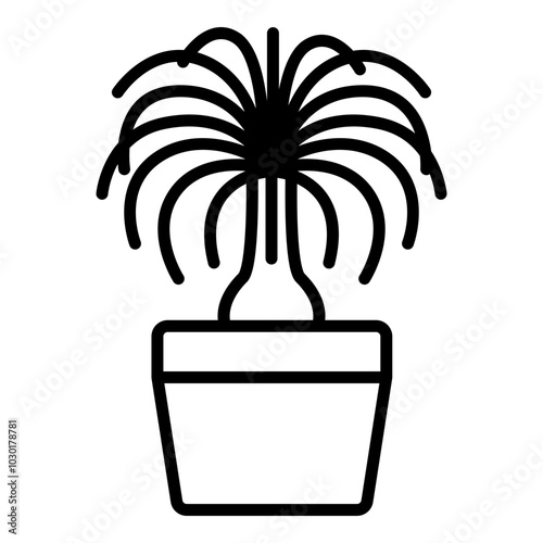 Ponytail palm icon. Vector line icon