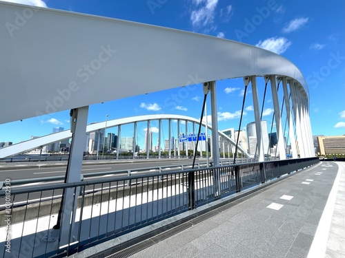 bridge over the river
