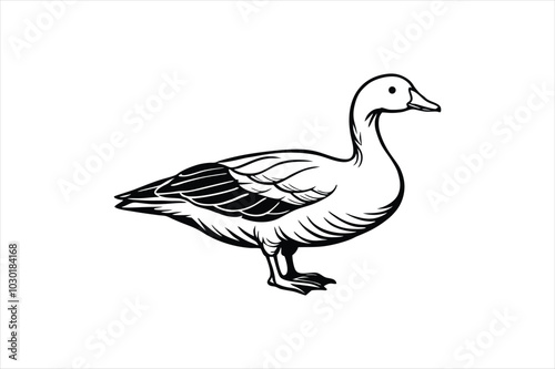  Cute Duck vector art illustration