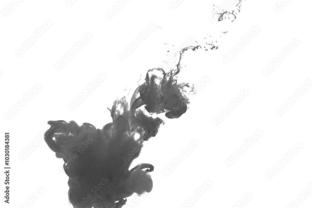 Obraz premium Black color-ink dye melt on white background,Abstract smoke pattern,Colored liquid dye,Splash paint