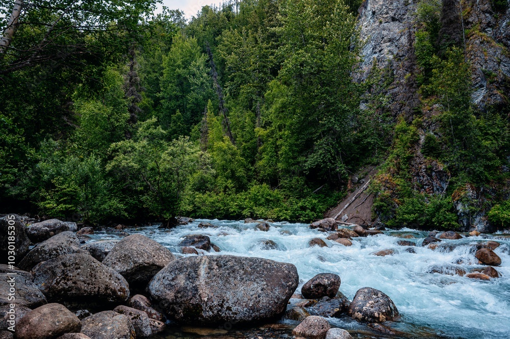 Serene river flowing through lush forest with rocky banks. Serene river flowing through lush forest with rocky banks.