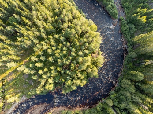 Aerial view of a vast pine forest under a clear blue sky with a  river in Brattfallet, Sweden photo