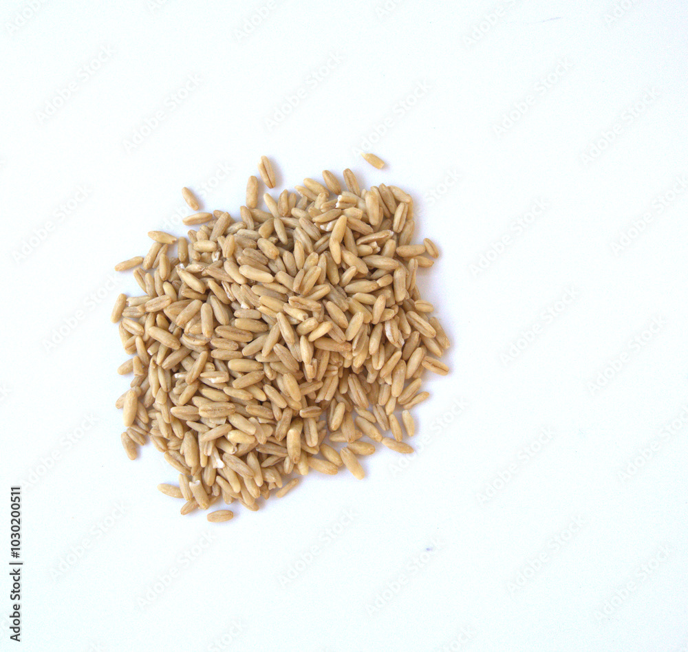 isolared whole oat grain on white background isolared whole oat grain on white background