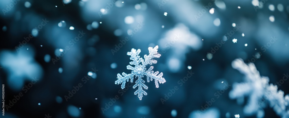 The Snowflake in Motion The Snowflake in Motion