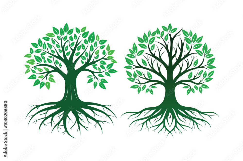 Obraz premium Tree Roots vector illustration, Tree Roots vector 