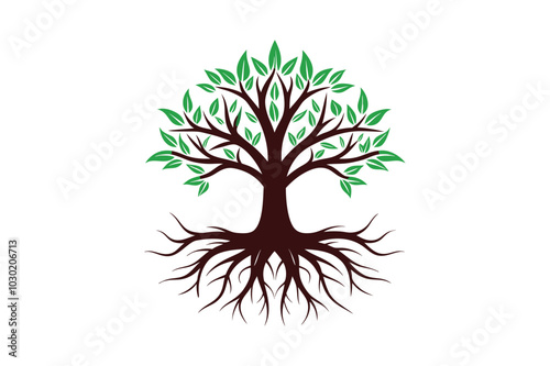 Tree Roots vector illustration, Tree Roots vector 