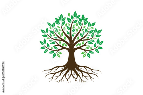 Tree Roots vector illustration, Tree Roots vector 