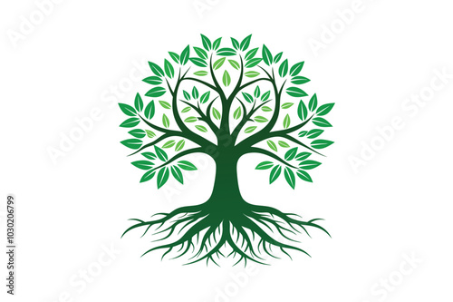 Tree Roots vector illustration, Tree Roots vector 