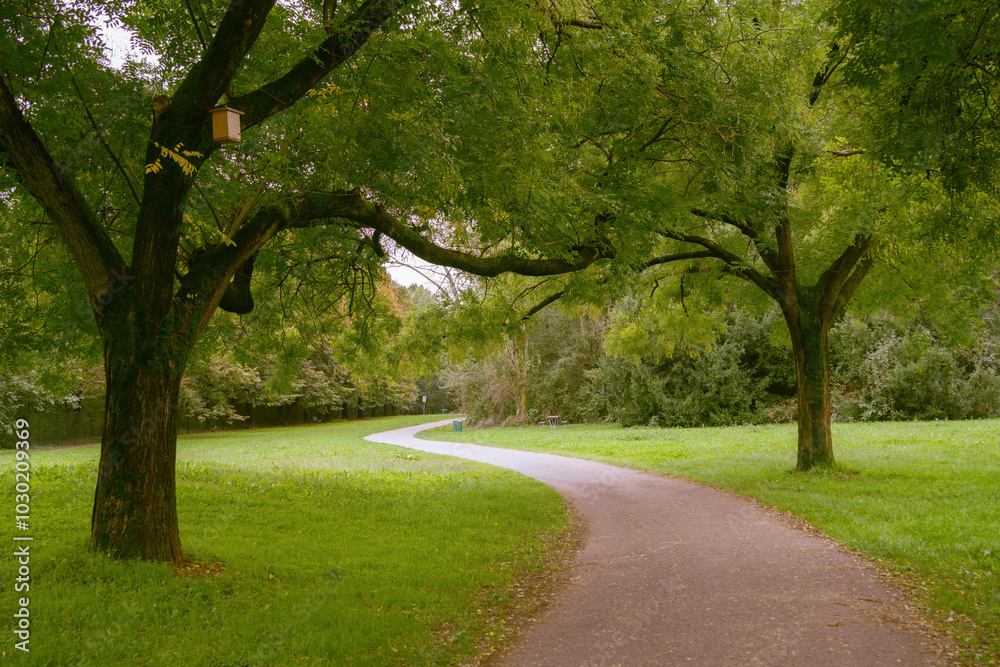 Naklejka premium Parco Nord, public park at Milan, Italy