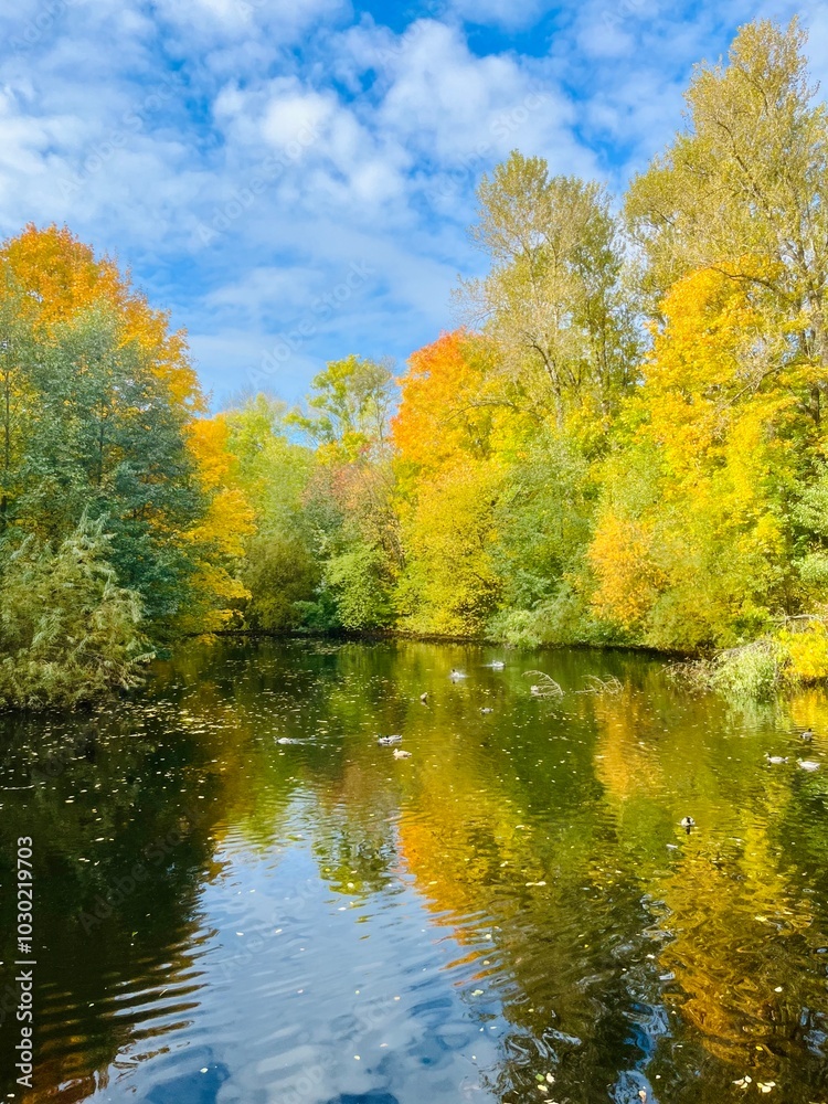 Autumn trees reflection on the water surface, pond in the park, beautiful autumn trees by the pond Autumn trees reflection on the water surface, pond in the park, beautiful autumn trees by the pond