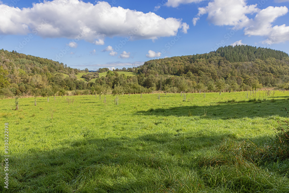 Forests and meadows in a warm autumn sun in the rolling hills near Marche-en-Famenne, a region known for agriculture and forestry Forests and meadows in a warm autumn sun in the rolling hills near Marche-en-Famenne, a region known for agriculture and forestry