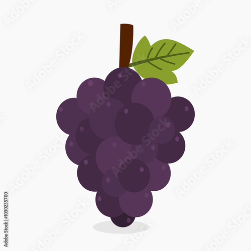 Purple bunch of grapes vector illustration isolated on white background