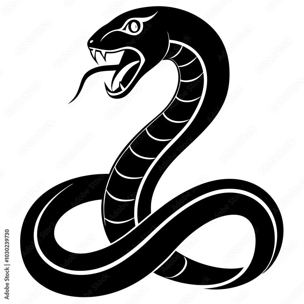 black and white viper snake black and white viper snake
