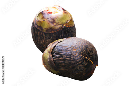 Borassus flabellifer ripe dark black shell yellow tissue fiber come out or Tal fruit isolated on cut out PNG or transparent background. It is a large palm tree. Fruit is fibrous hard encased.