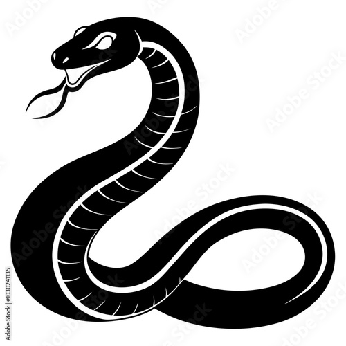 black and white  anaconda snake