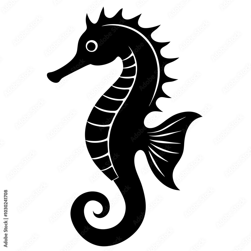 black and white seahorse black and white seahorse