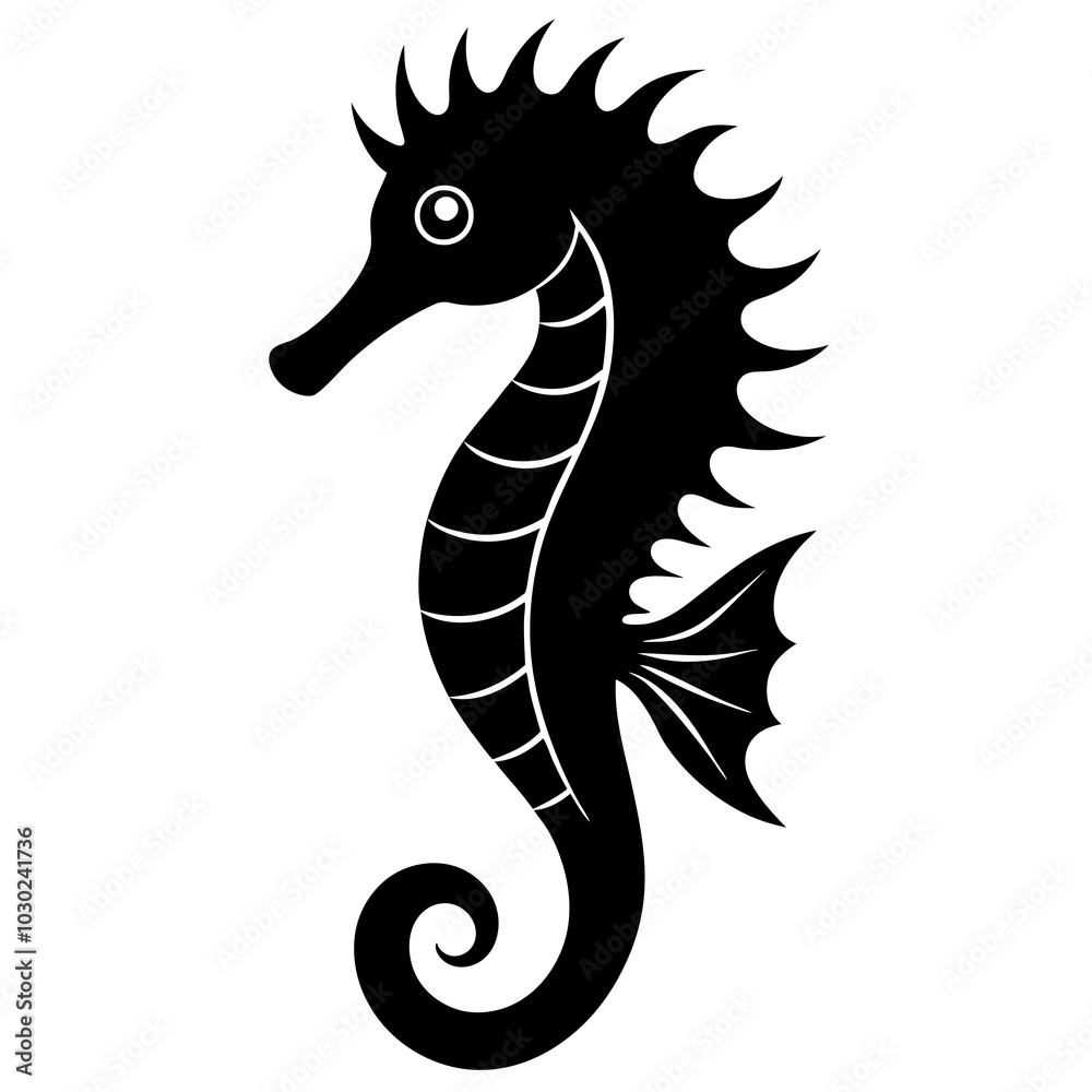 black and white seahorse black and white seahorse
