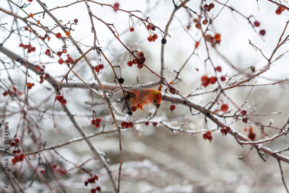 a colorful bird perched on a branch. a colorful bird perched on a branch.