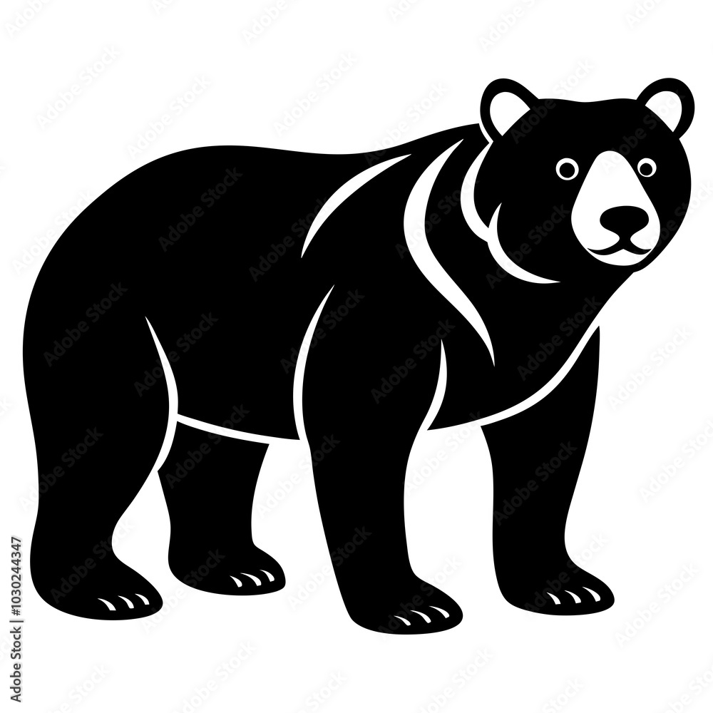 illustration of bear illustration of bear