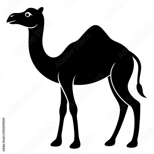 camel isolated on white
