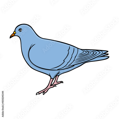dove vector illustration