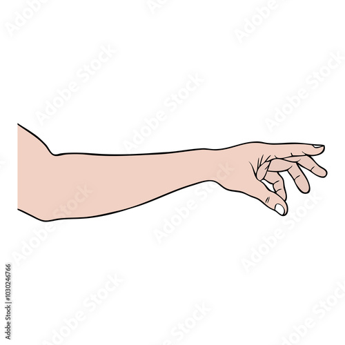 hand vector illustration