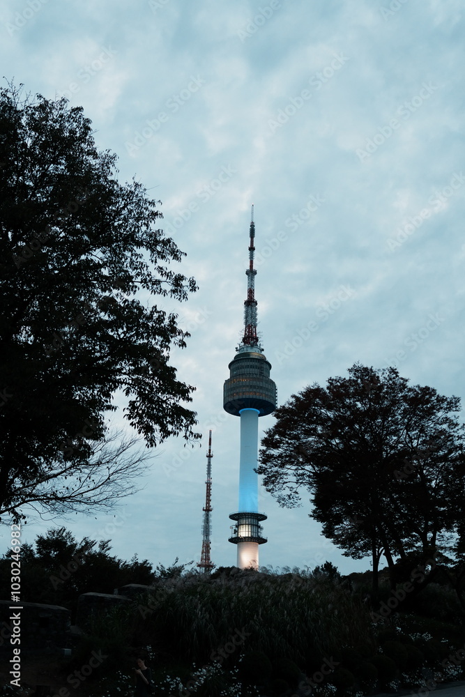 Obraz premium namsan tower city