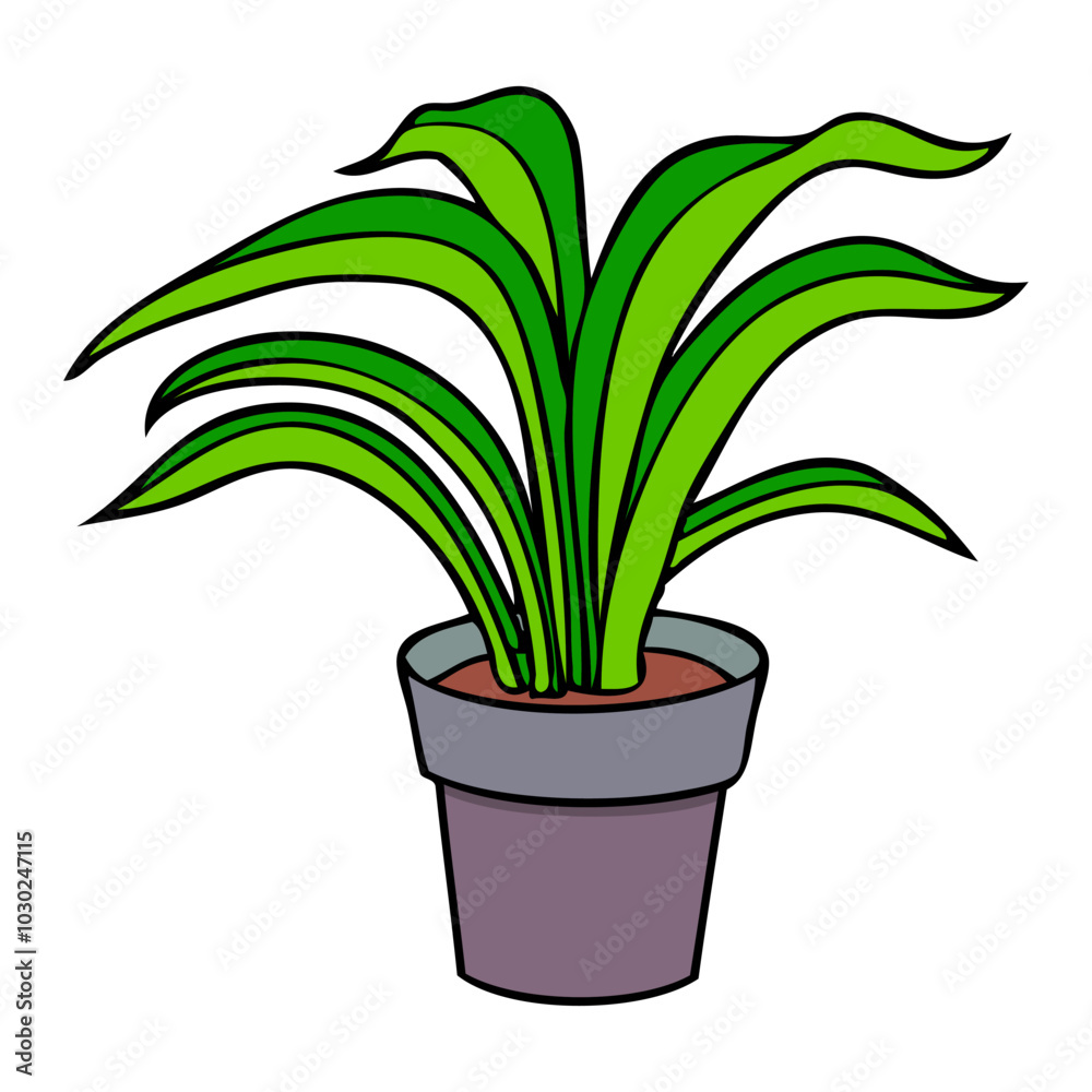 plant pot vector illustration