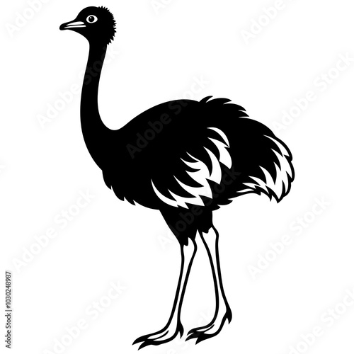 ostrich silhouette isolated on white