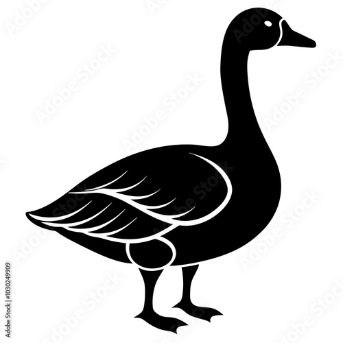 goose isolated on white