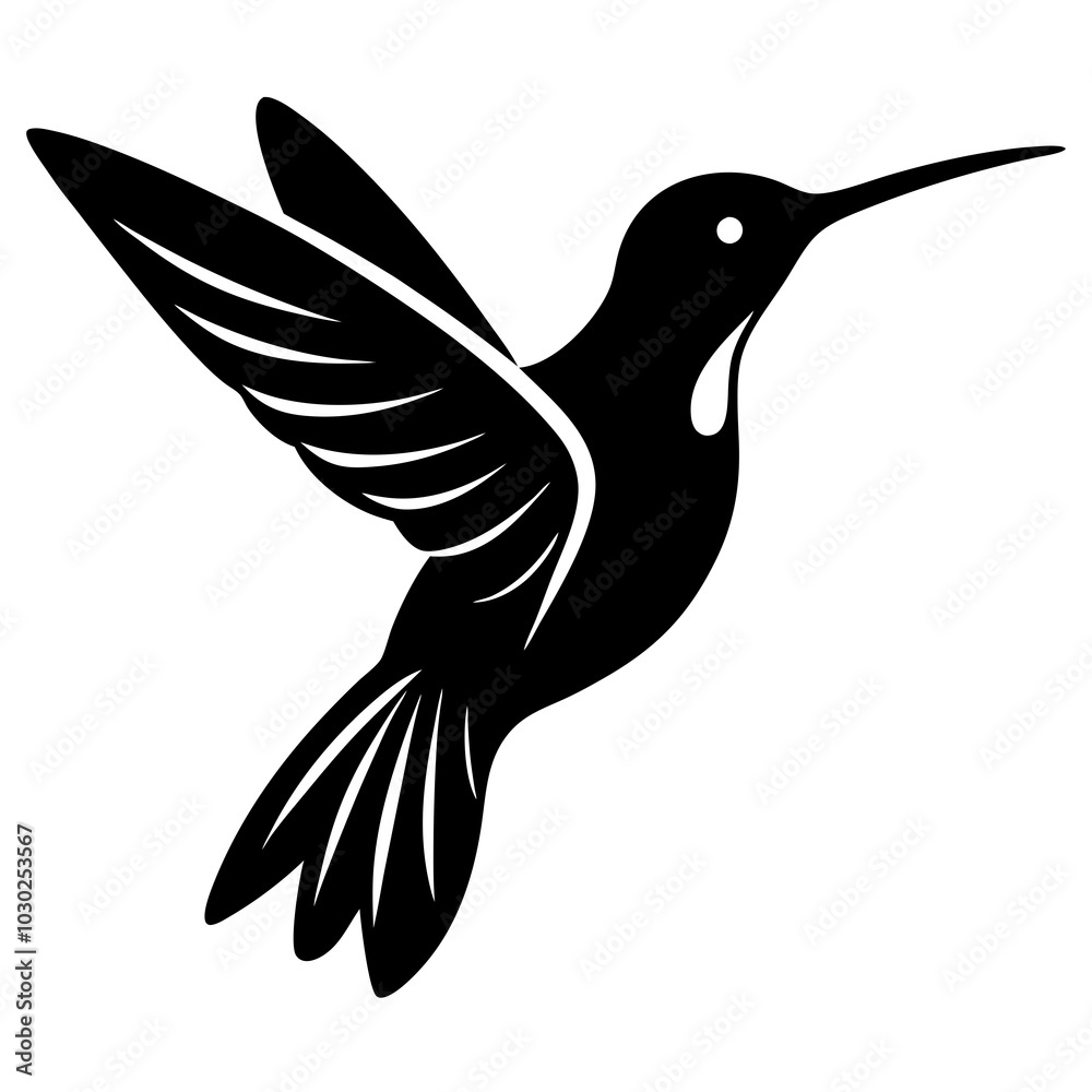 illustration of a hummingbird illustration of a hummingbird