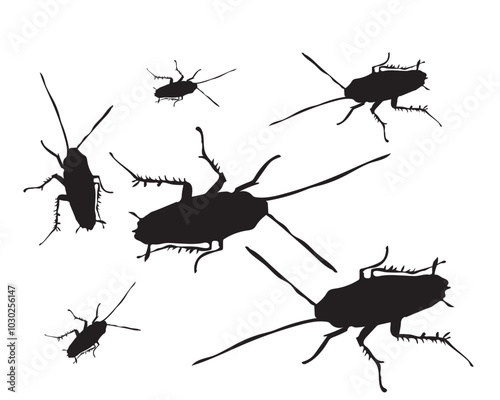 Graphics  Insect Vector Art, Icons, 