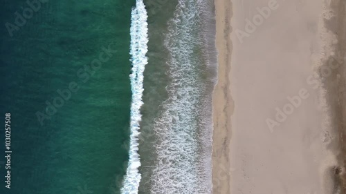 Wallpaper Mural Topdown aerial drone footage over a large white sand ocean beach, Oaxaca, Mexico Torontodigital.ca