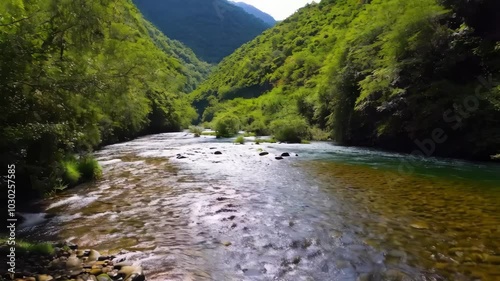 Pristine River Flows Through Lush Green Valley