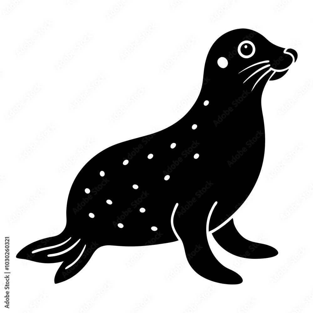 seal on the beach seal on the beach