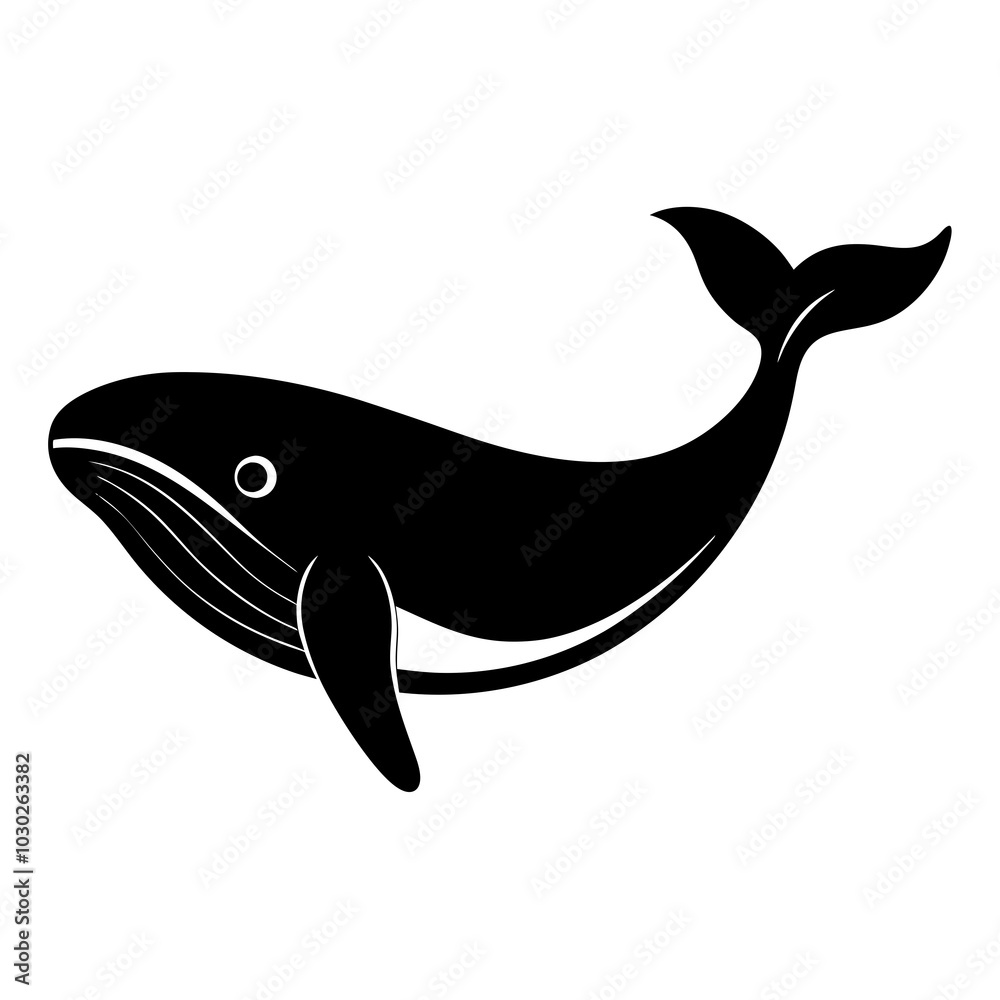 illustration of whale illustration of whale