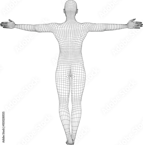 wireframe human pose