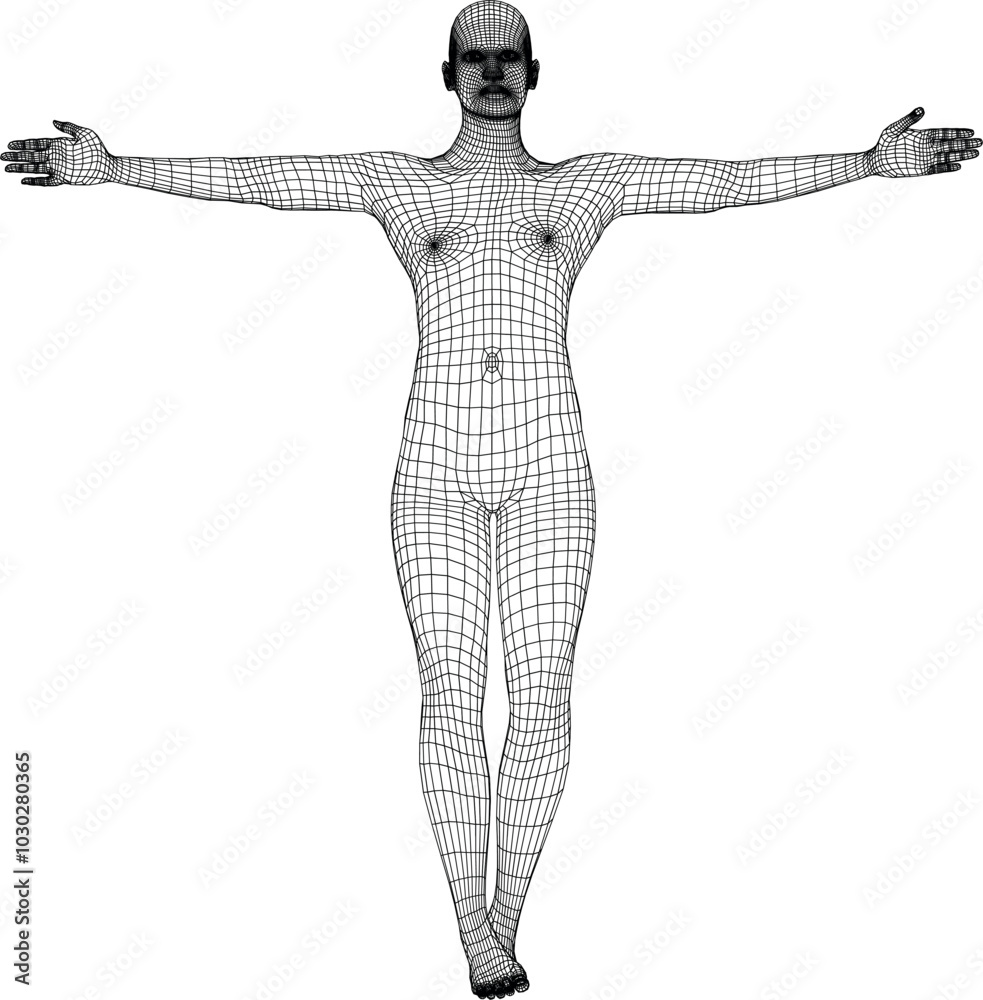 wireframe human pose wireframe human pose