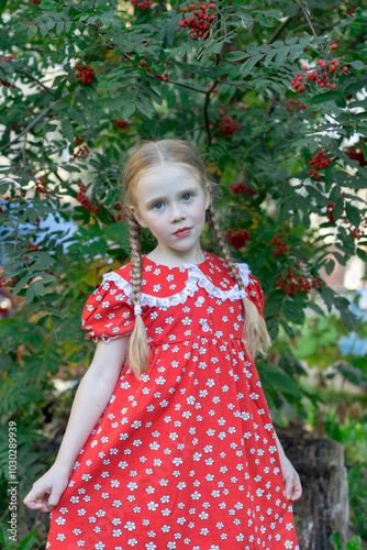 Portrait of a girl in nature. A girl in a red dress next to a rowan bush. The girl has blonde hair in pigtails. Image with selective focus.