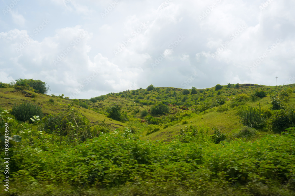 A serene hill with lush grass and trees, capturing the essence of a tranquil and picturesque outdoor landscape A serene hill with lush grass and trees, capturing the essence of a tranquil and picturesque outdoor landscape