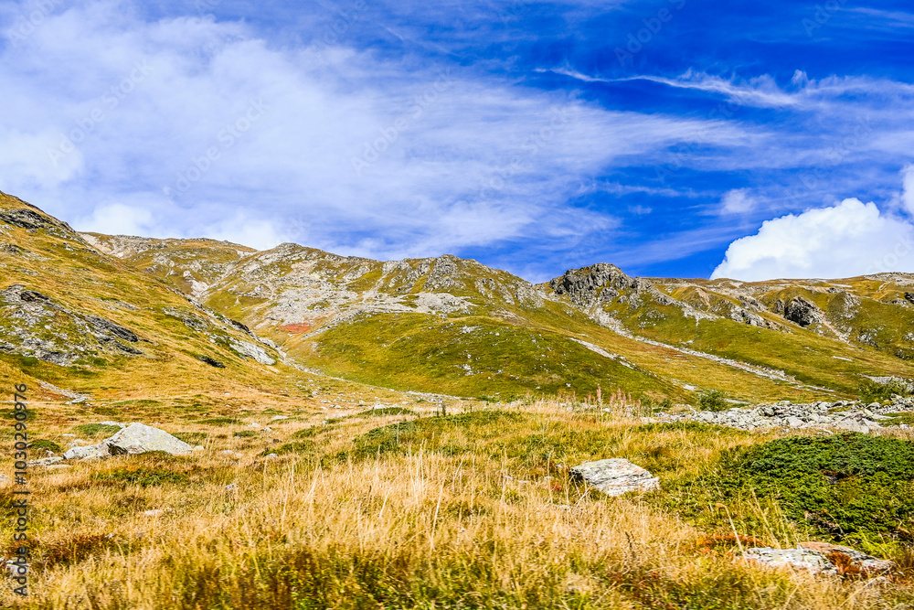 Fototapeta premium Livigno, Forcola di Livigno, Passo Forcola, Passstrasse, Bergpass, Alpen, Piz Orsera, Piz dals Lejs, Monte Vago, Wanderweg, Bergwiesen, Fluss, Spöl, Berninagruppe, Herbst, Herbstfarben, Zoll, Italien