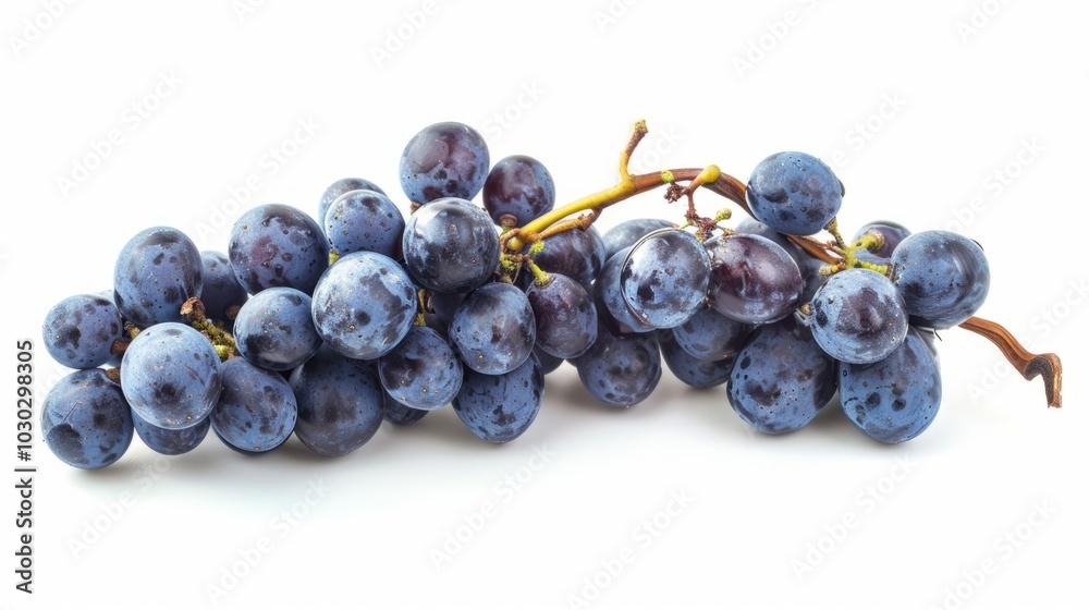 Pristine Package Design: Blue Grapes Dry Bunch Isolated on White Background - Perfect as an Pristine Package Design: Blue Grapes Dry Bunch Isolated on White Background - Perfect as an