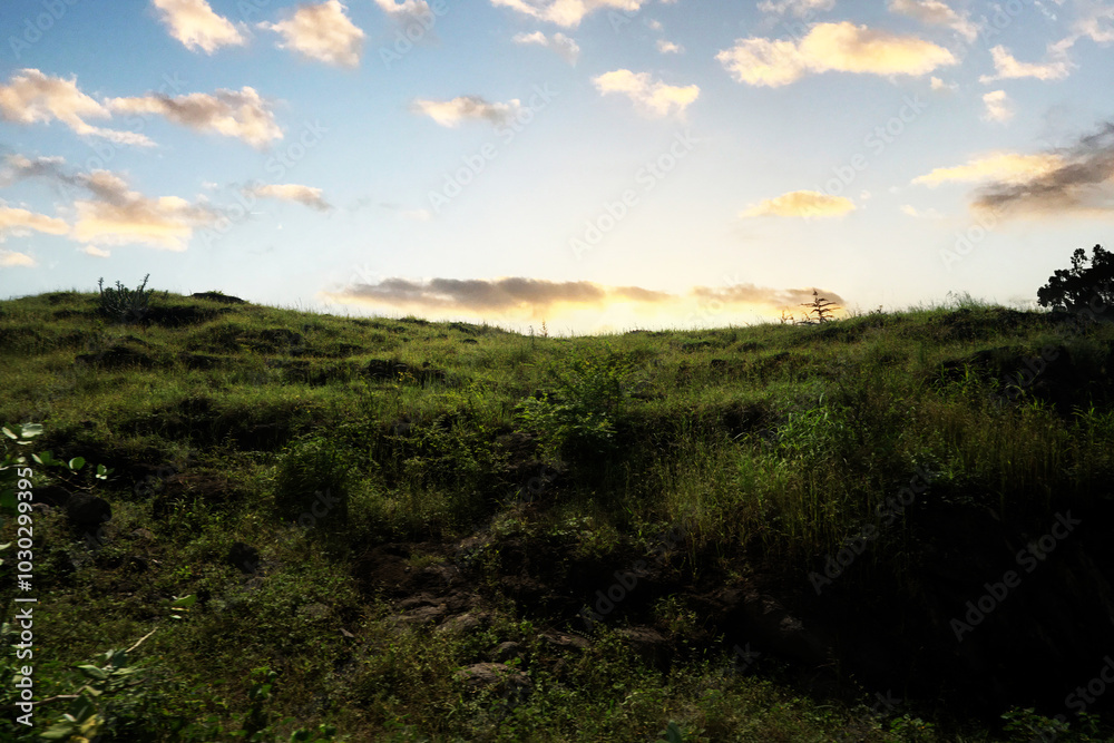 Gentle Sunrise Across Verdant Slopes: A Serene View of Nature's Grace Gentle Sunrise Across Verdant Slopes: A Serene View of Nature's Grace