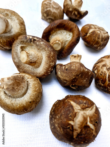 Shiitake mushrooms isolated on a white background