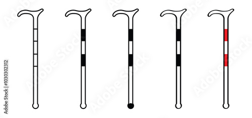 White cane safety day, celebration on 15 October. For blind people, white cane is an important tool for people who are blind or partially sighted as an aid for safe and reliable navigation. 