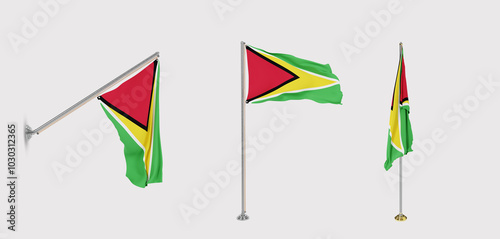 The flag of Guyana has a transparent background and three flags of different styles. photo