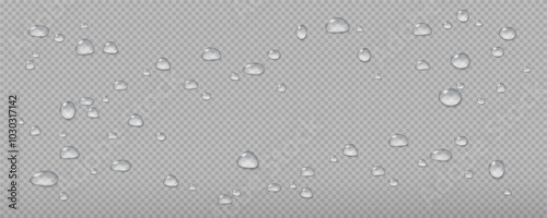 Realistic vector water drops png on a transparent light background. Water condensation on the surface with light reflection and realistic shadow. 3d vector illustration