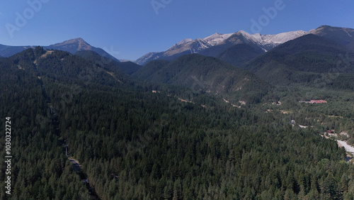 Mountain view with snow hills and green forest 