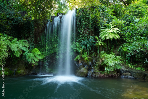 waterfall in the forest
